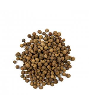 NOVÉ KOŘENÍ CELÉ 500g